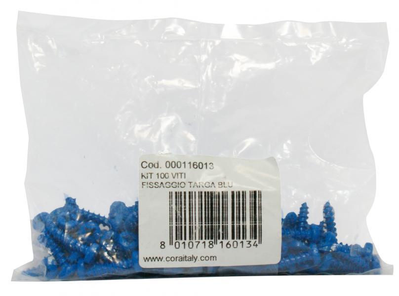 Kit 100 viti blu fissaggio targa - immagine 2