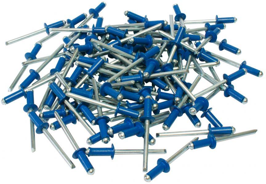 Kit 100 rivetti blu fissaggio targa