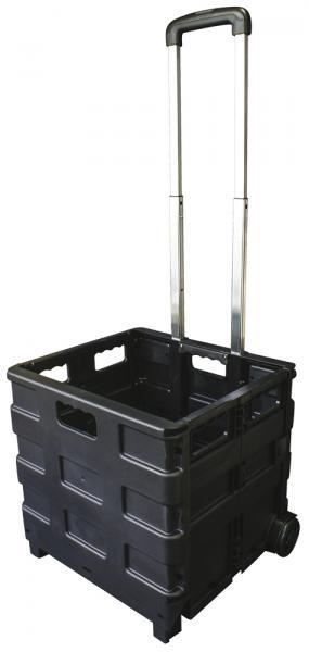 Carrello portatile pieghevole Trolly Carry