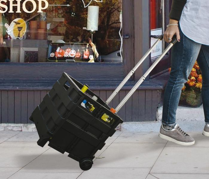 Carrello portatile pieghevole Trolly Carry - immagine 3