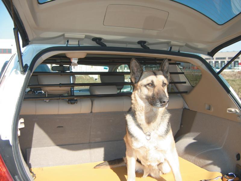 Separatore cani Walky Barrier - immagine 2