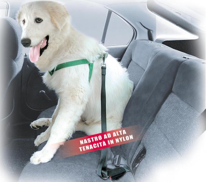 Guinzaglio di sicurezza per cani Stopdog Maxi - immagine 2