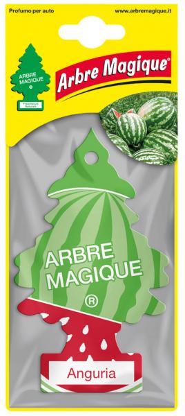 Conf. 24 pz Anguria - immagine 2
