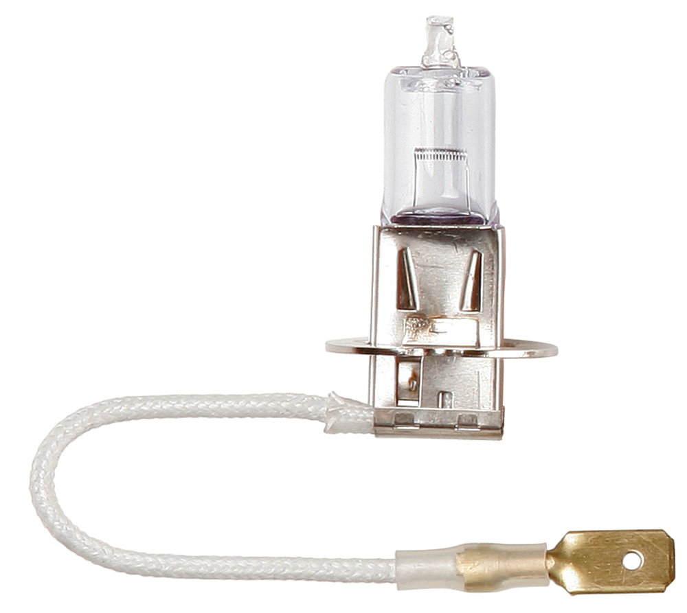 Lampadina 24V 50W