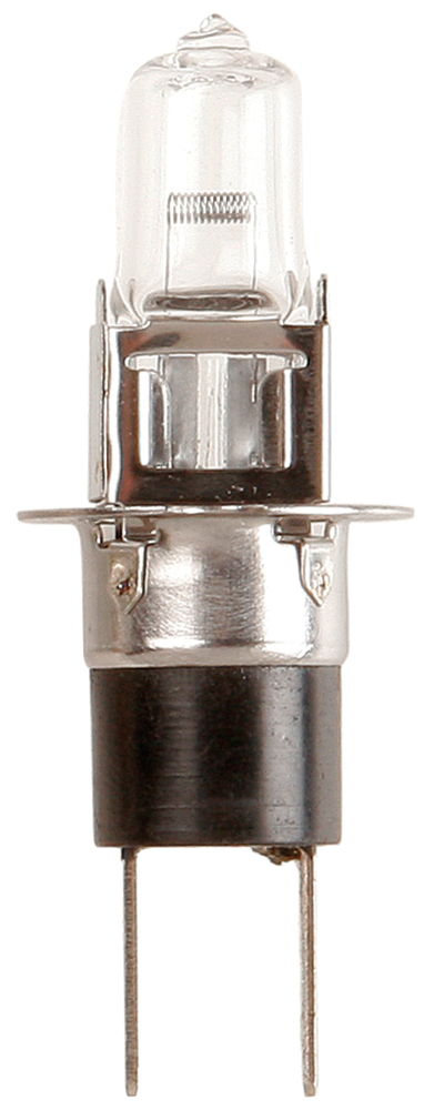 Lampadina importazione 12V 55W
