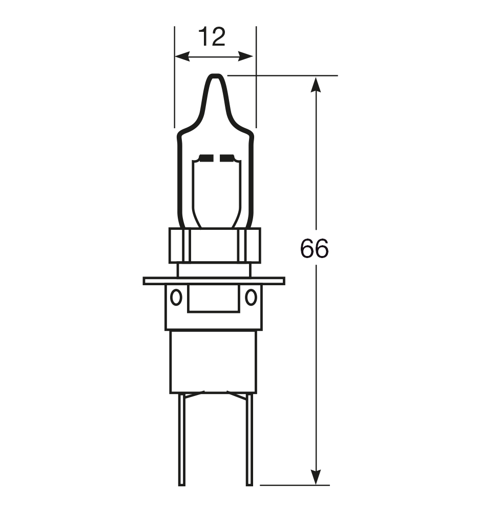 Lampadina importazione 12V 55W - immagine 2