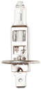 Lampadina alogena 12V 55W H1
