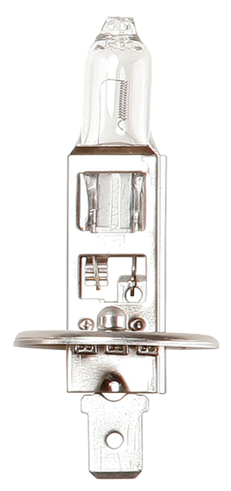Lampadina Long Life 12V 55W H1