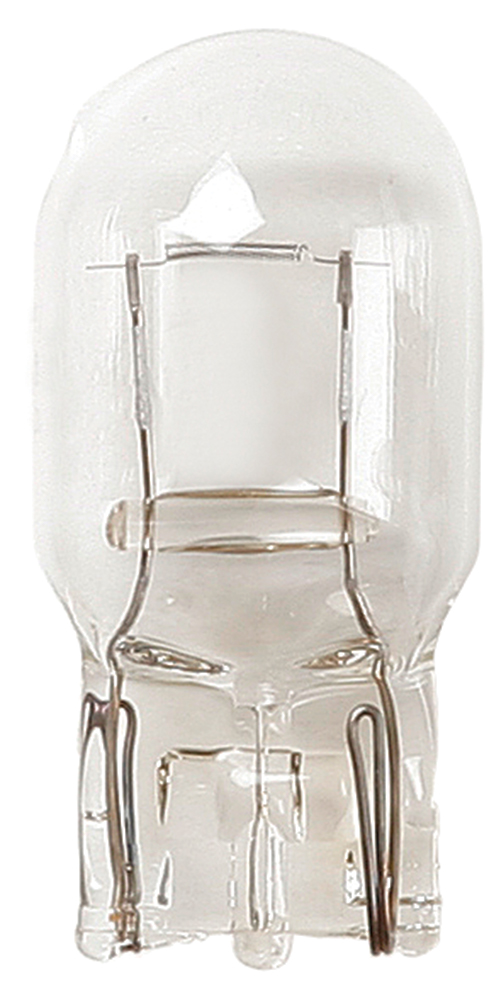 Lampadina 12V 21W WY21W gialla