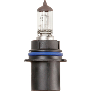 Lampadina importazione 12V 65/45W HB1