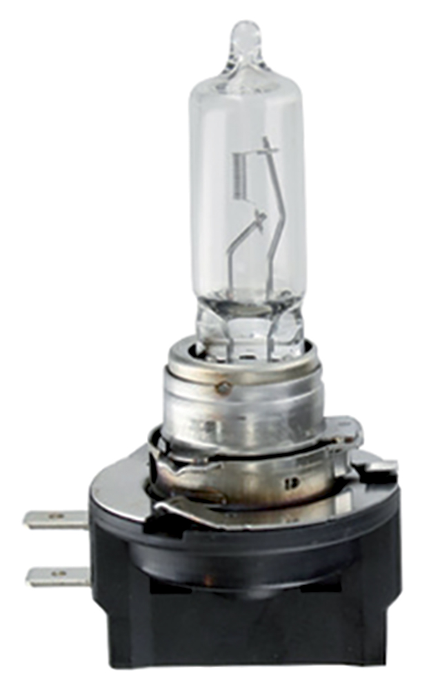Lampadina 12V 65W H9B