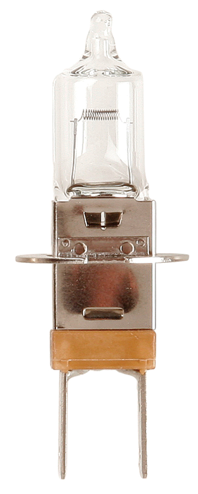 Lampadina importazione 12V 55W
