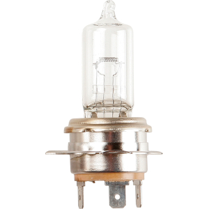 Lampadina importazione 12V 55/40W