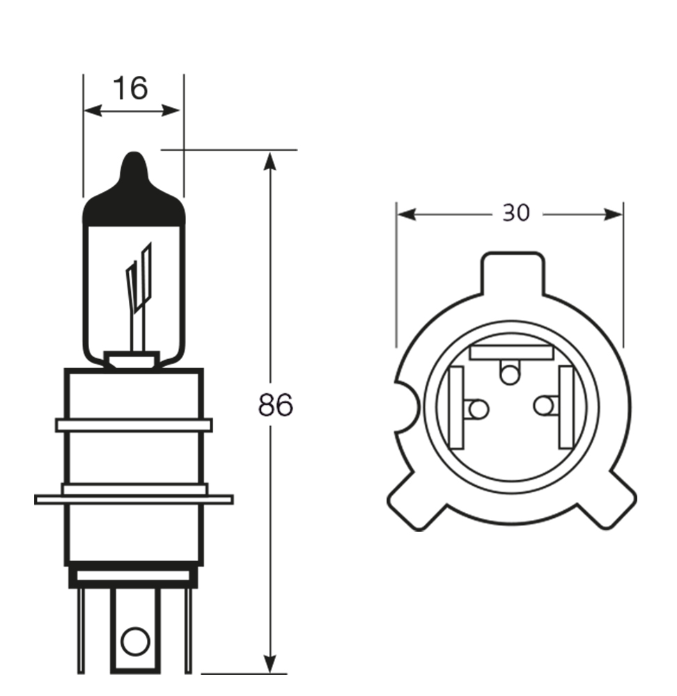 Lampadina importazione 12V 65/55W - immagine 2