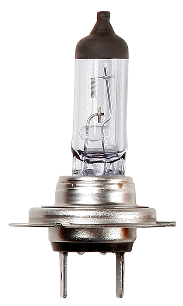 Lampadina Truck Master HD & LL 24V 70W H7