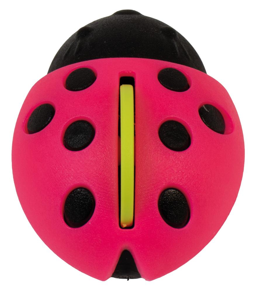 Conf. 6 pz deo Mariquita fucsia fresh fruit