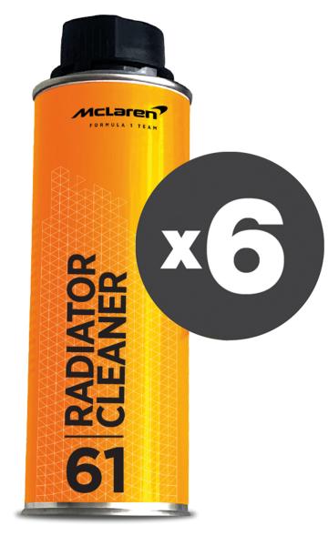 Conf. 6 pz Radiator Cleaner pulitore radiatore 300 mL