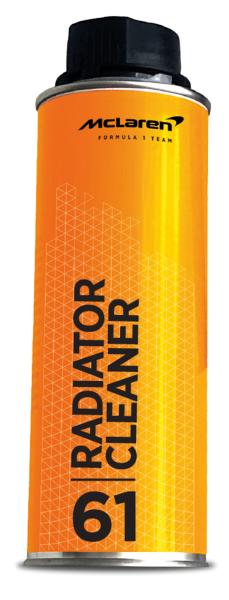 Radiator Cleaner pulitore radiatore 300 mL