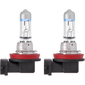 Lampadine Xenon100 H11 12V 55W