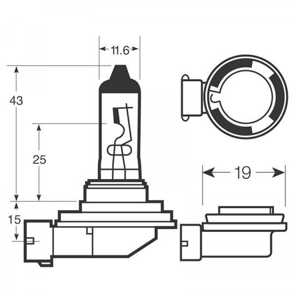 Lampadine Xenon150 H11 12V - immagine 2