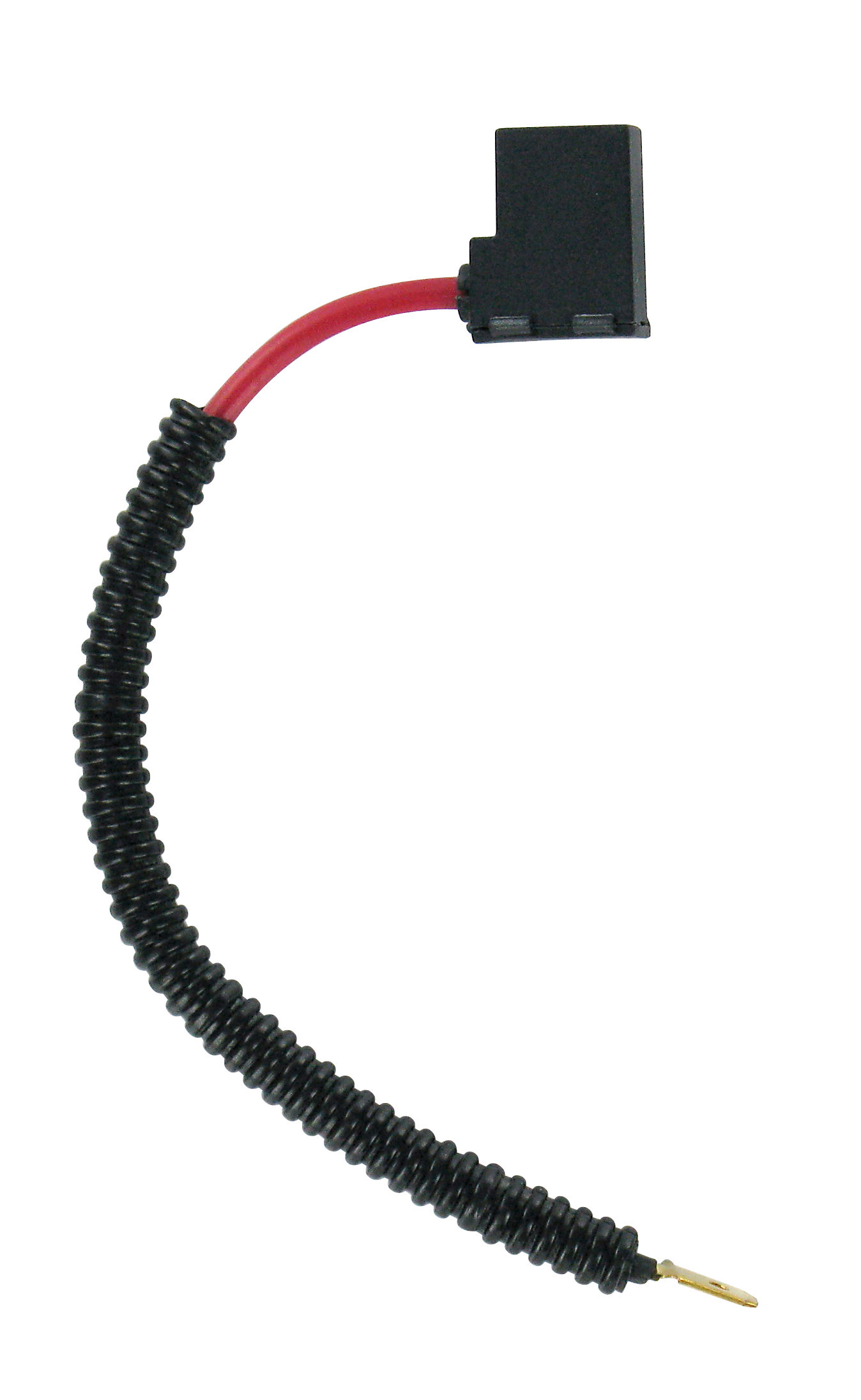 12V Xenium Race Bonus-Pack - (H1) - 100W - P14,5s - 2 pz - Scatola Plast. - immagine 2