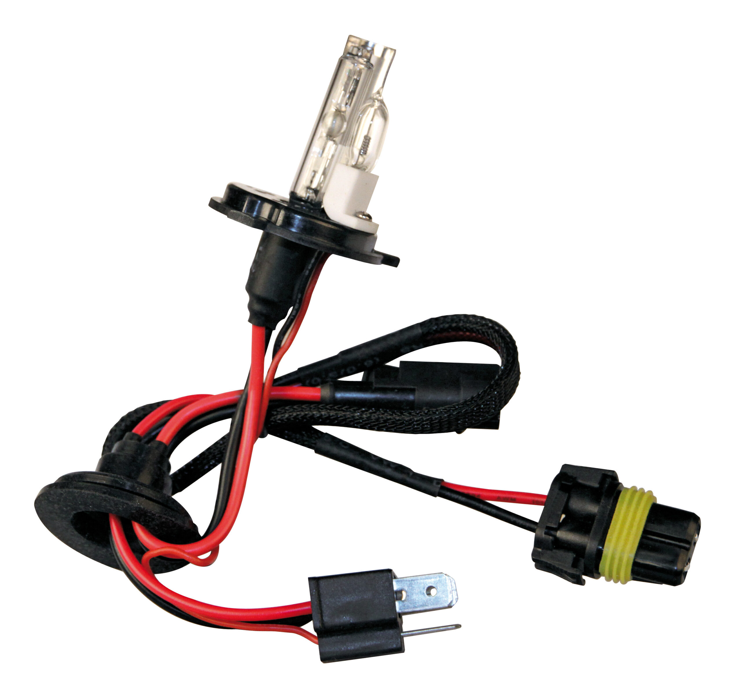 12V Lampadina HID Xenon 8.000K - H4 - 1 pz - Scatola - (Bi-Lampada)