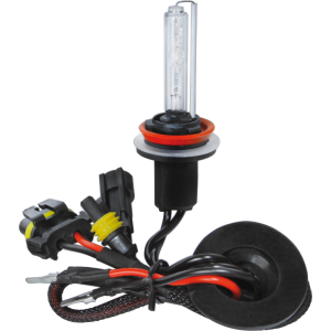 12/24V Lampadina HID Xenon 6.000K - H8 - 1 pz - Scatola
