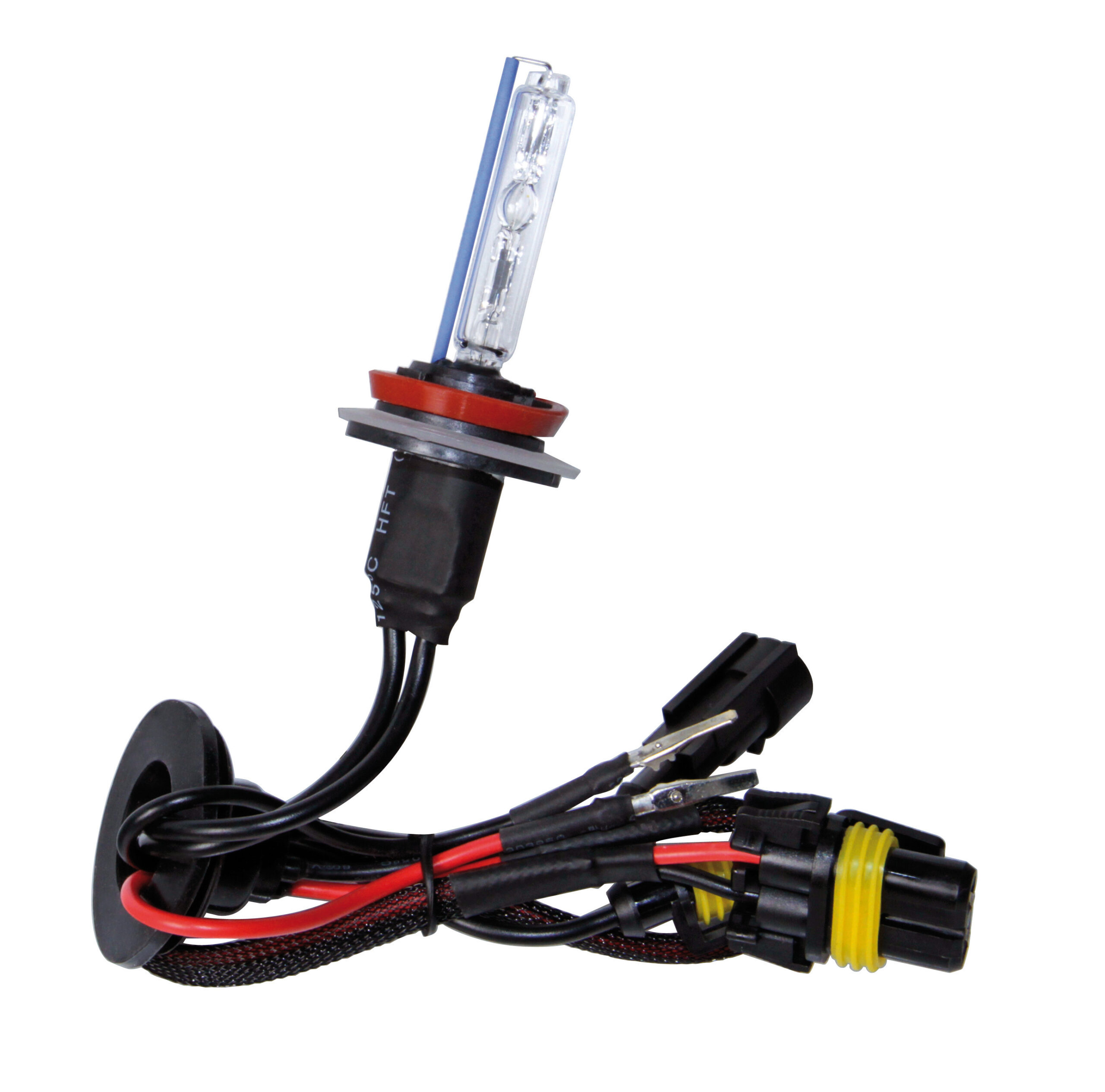 12/24V Lampadina HID Xenon 8.000K - H9 - 1 pz - Scatola