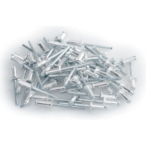 Aluminium Rivets, set 50 rivetti Graf per portatarga - Argento