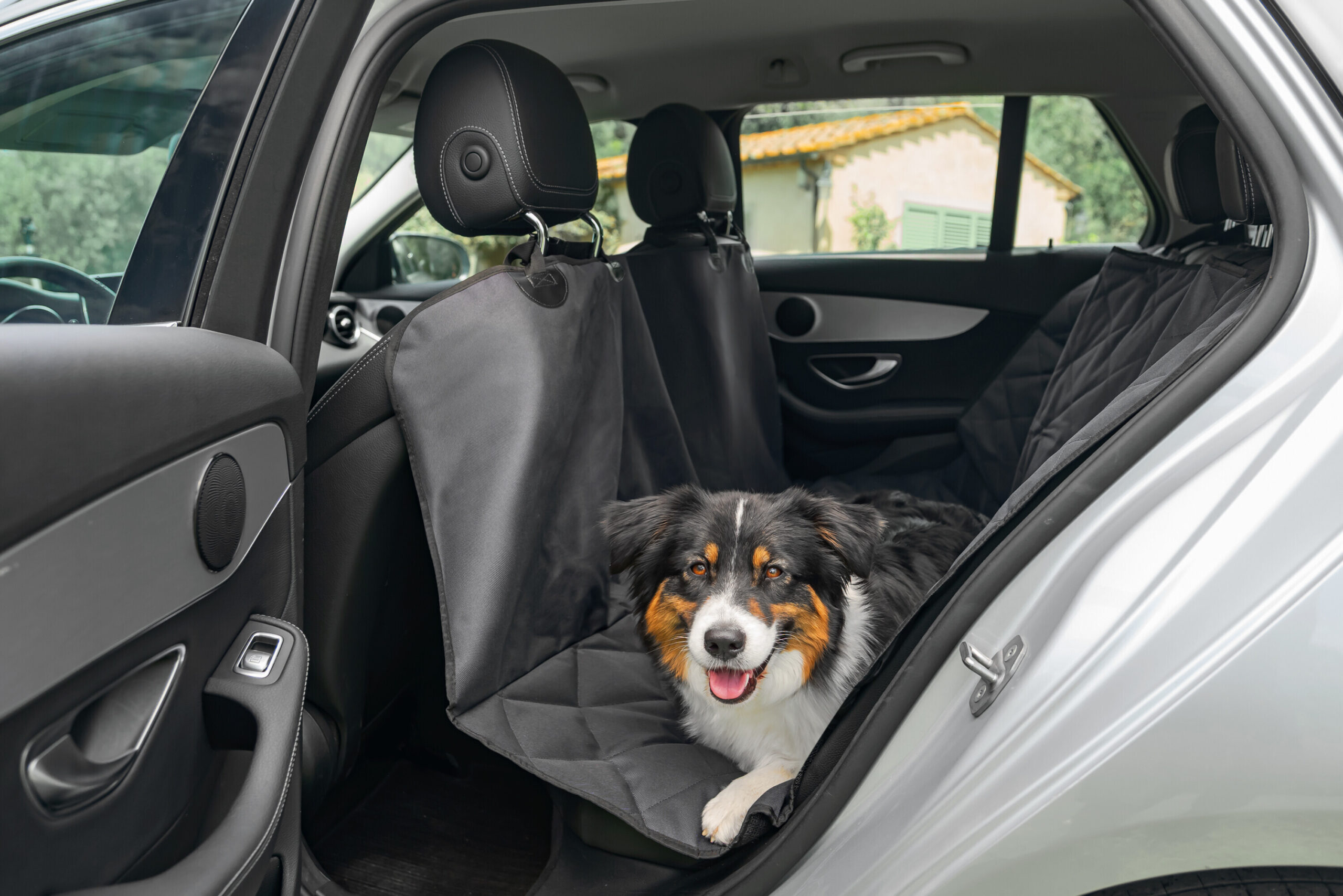 Pets, coprisedile posteriore 4 in 1 - M - 137x146 cm - immagine 7