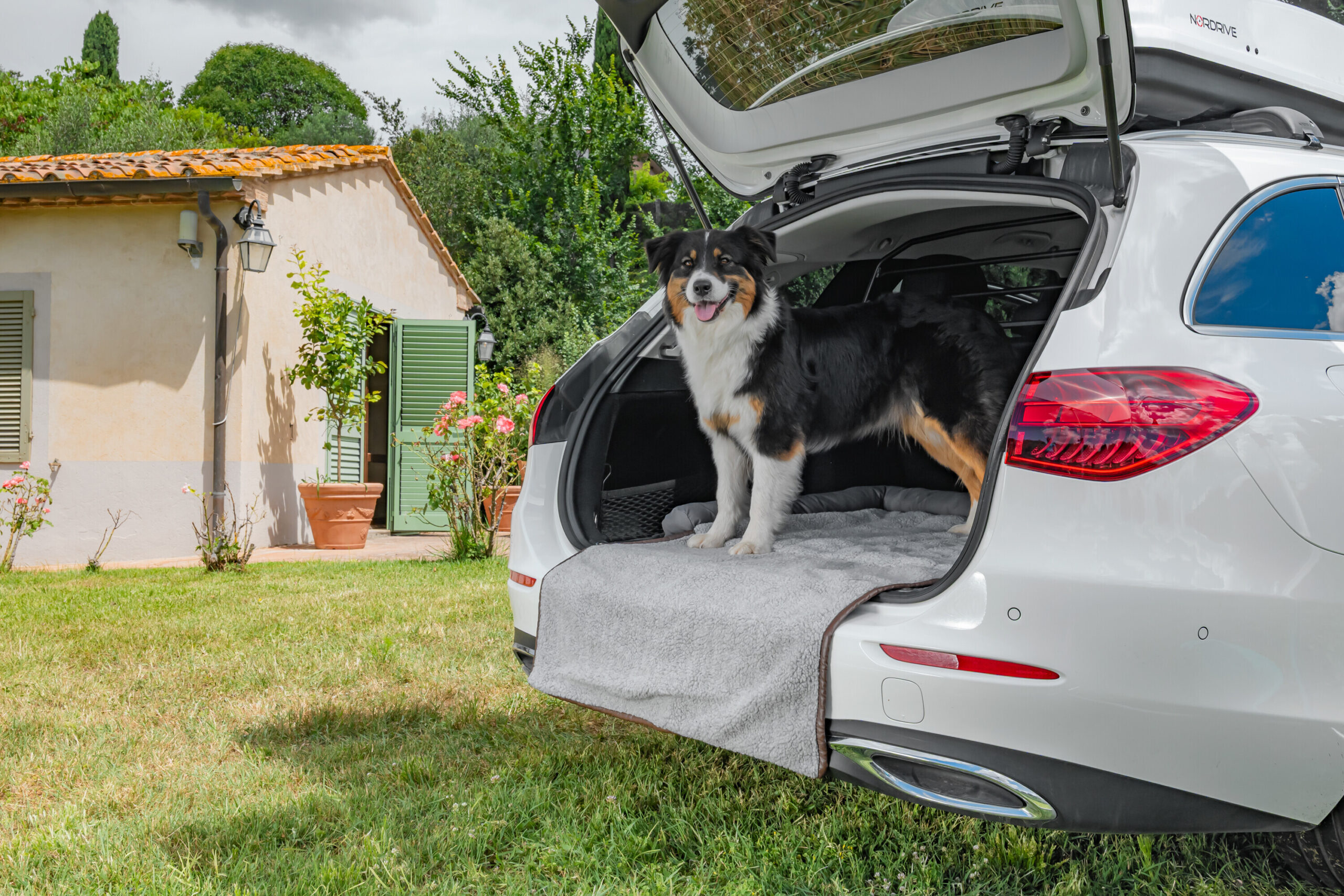 Pet Mat 3 in 1, lettino, tappeto baule e protezione paraurti - immagine 8
