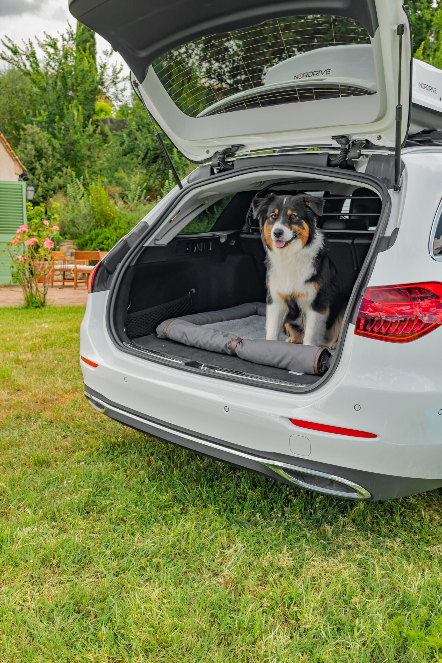 Pet Mat 3 in 1, lettino, tappeto baule e protezione paraurti - immagine 9