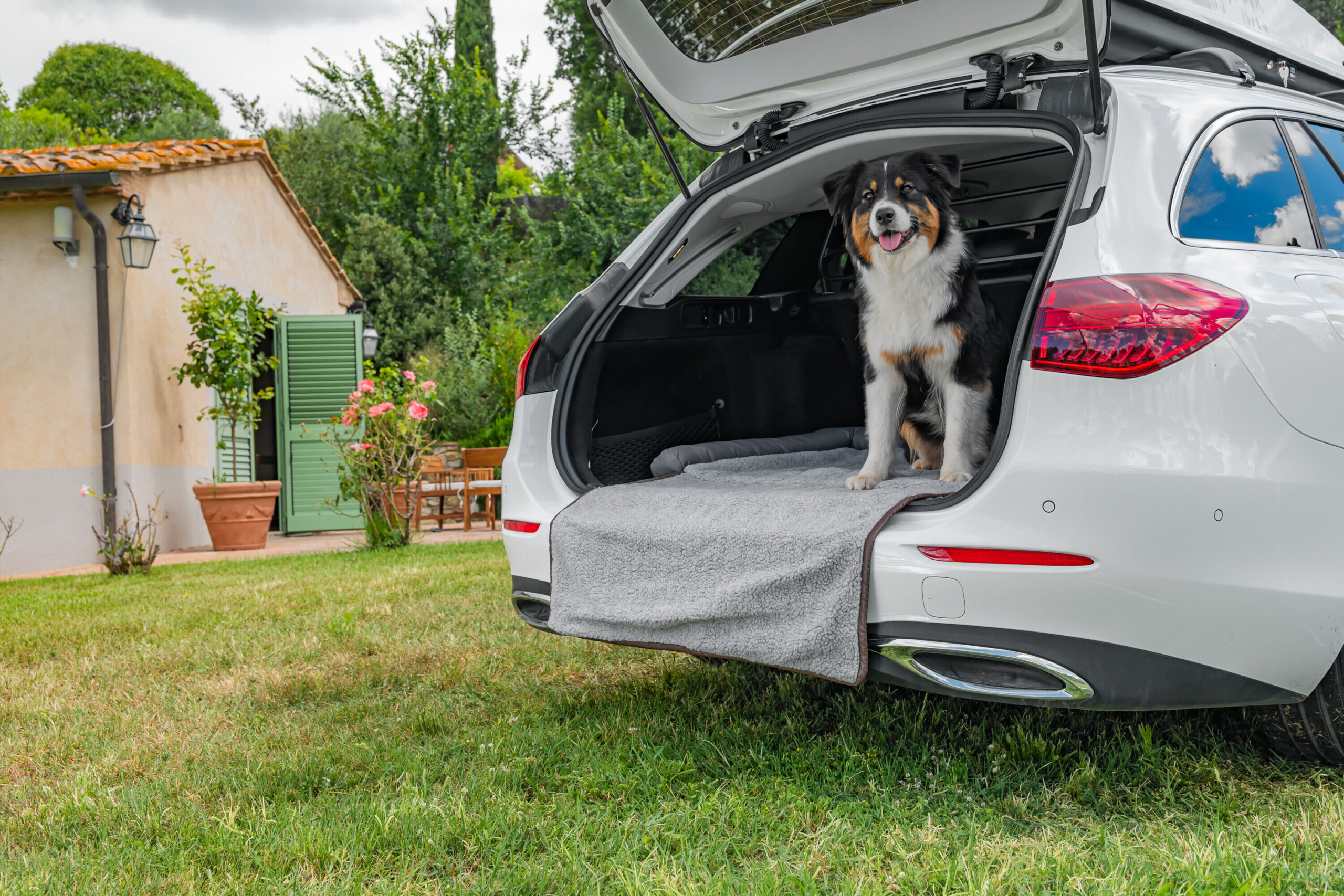 Pet Mat 3 in 1, lettino, tappeto baule e protezione paraurti - immagine 10