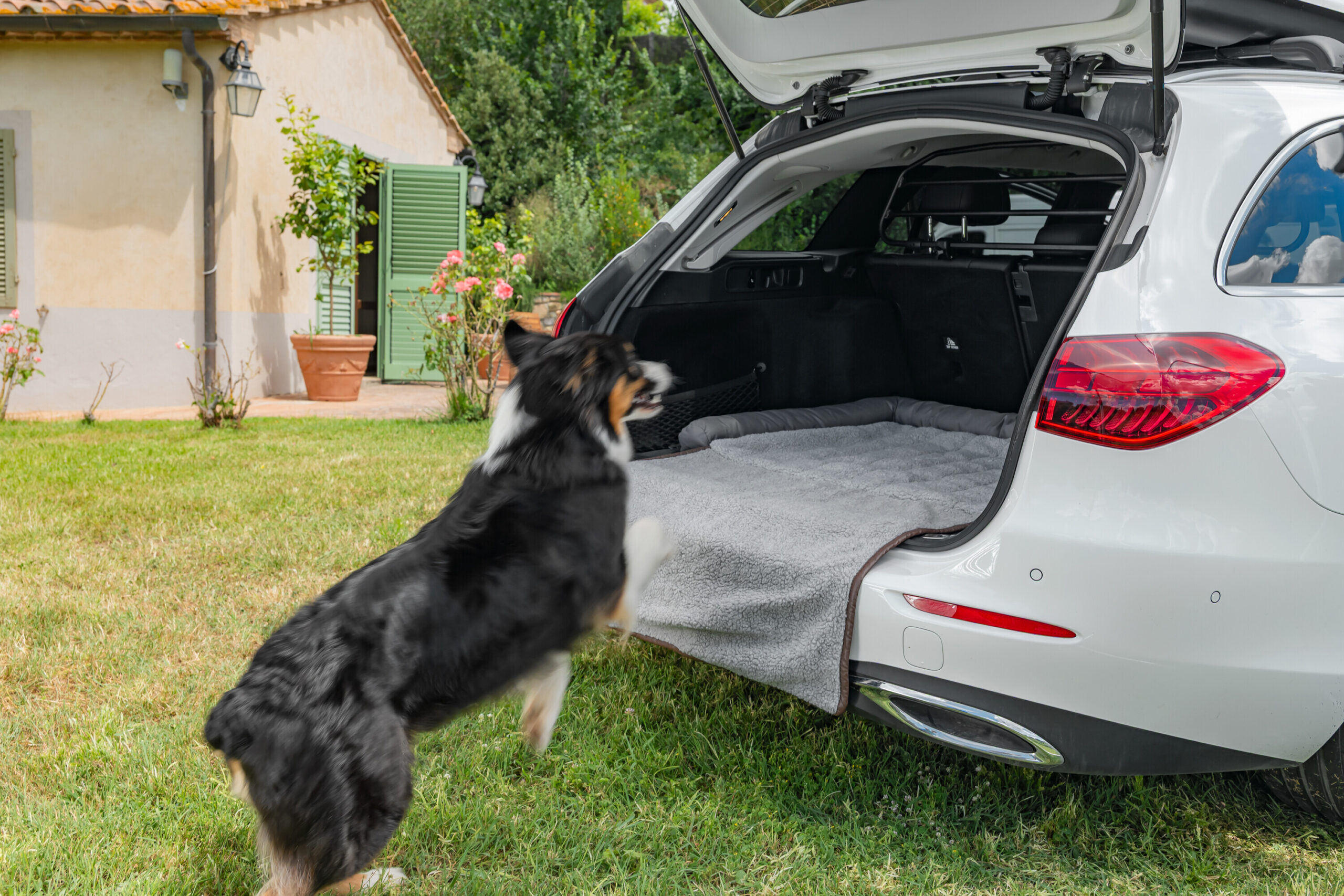 Pet Mat 3 in 1, lettino, tappeto baule e protezione paraurti - immagine 11