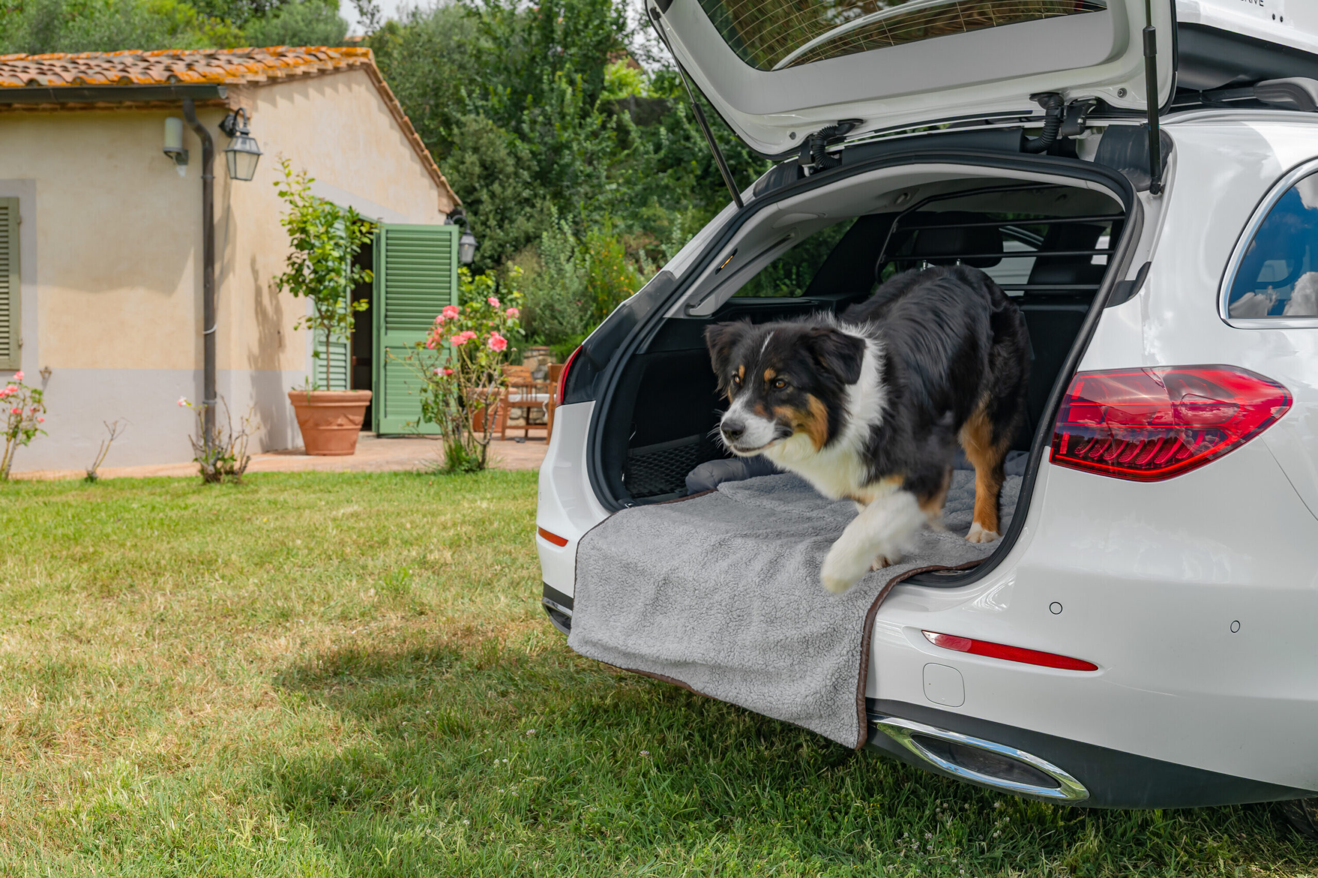 Pet Mat 3 in 1, lettino, tappeto baule e protezione paraurti - immagine 12