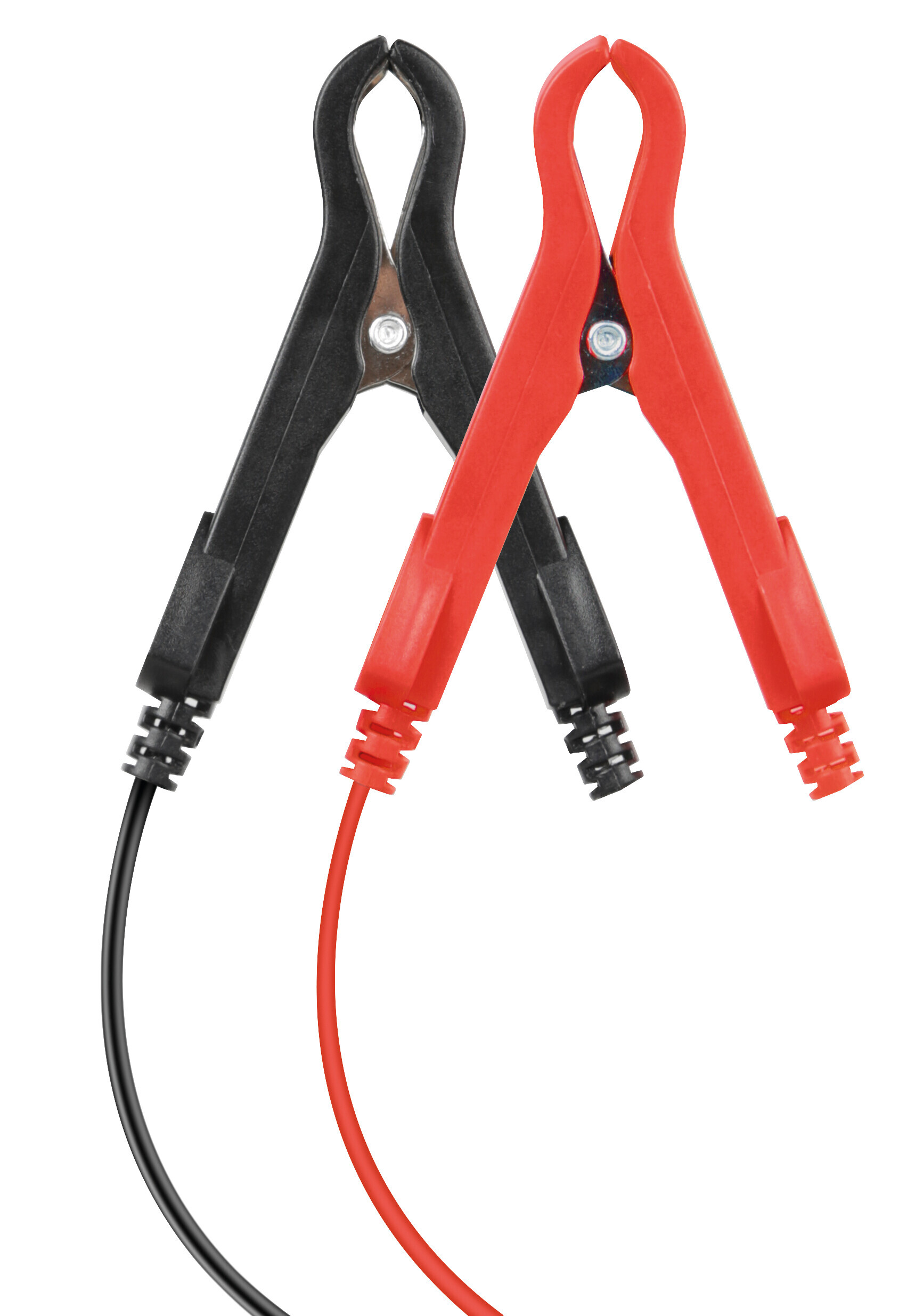 Amperomatic Bike, caricabatteria intelligente, 6/12V - 1A - immagine 6