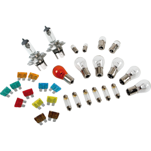 Kit lampade di ricambio 30 pz, alogena 2xH4 - 24V