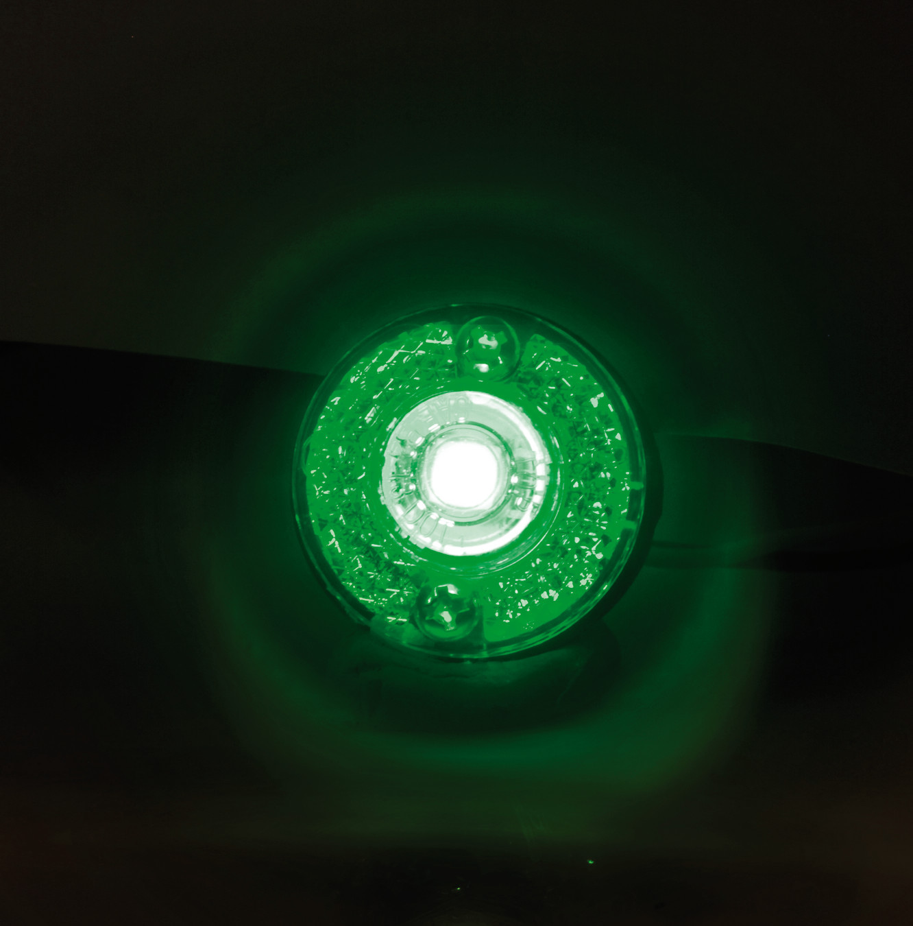 Coppia luci decorative - 1 Led - 24V - Verde - immagine 5