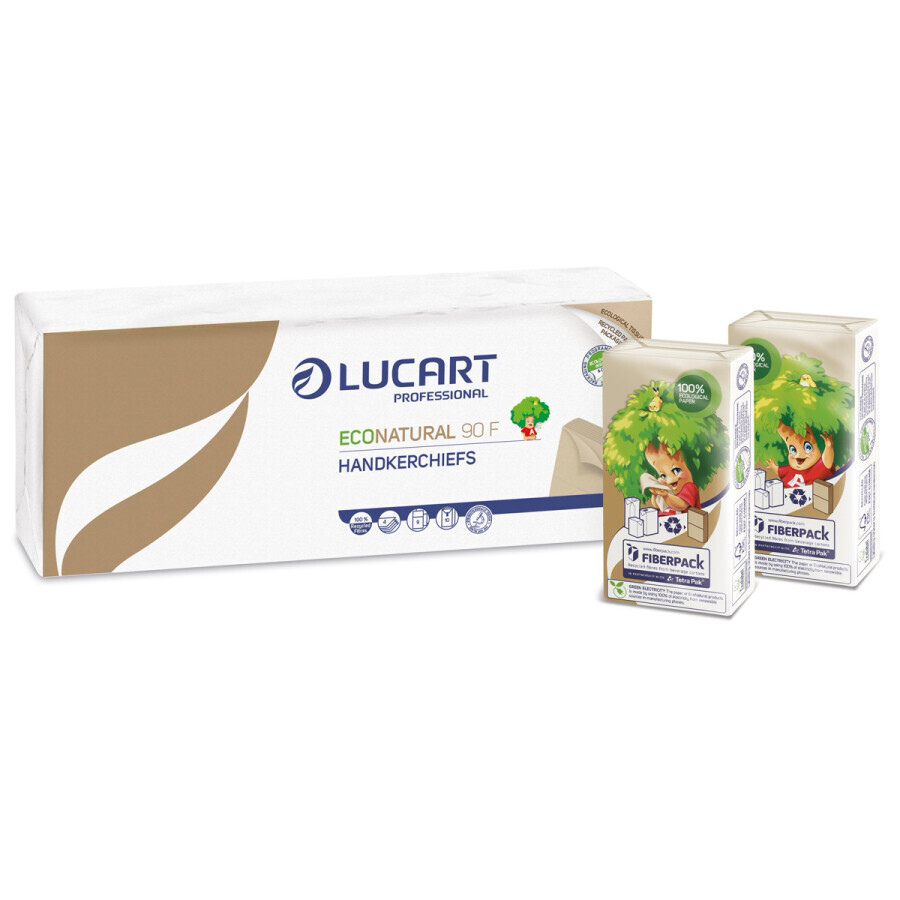 Fazzoletti di carta - Lucart Professional Econatural 90F - 4 veli, 9 fazzoletti - Conf. 10 pacchetti