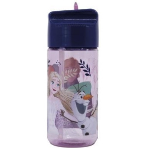Bottiglia Ecozen 430 mL Frozen