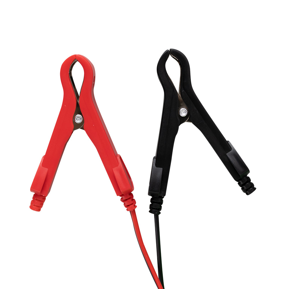 CARICA BATTERIA 12/24V - immagine 2