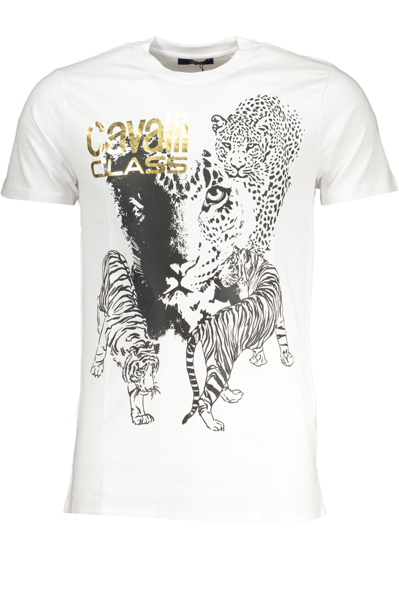 CAVALLI CLASS T-SHIRT MANICHE CORTE UOMO - Bianco