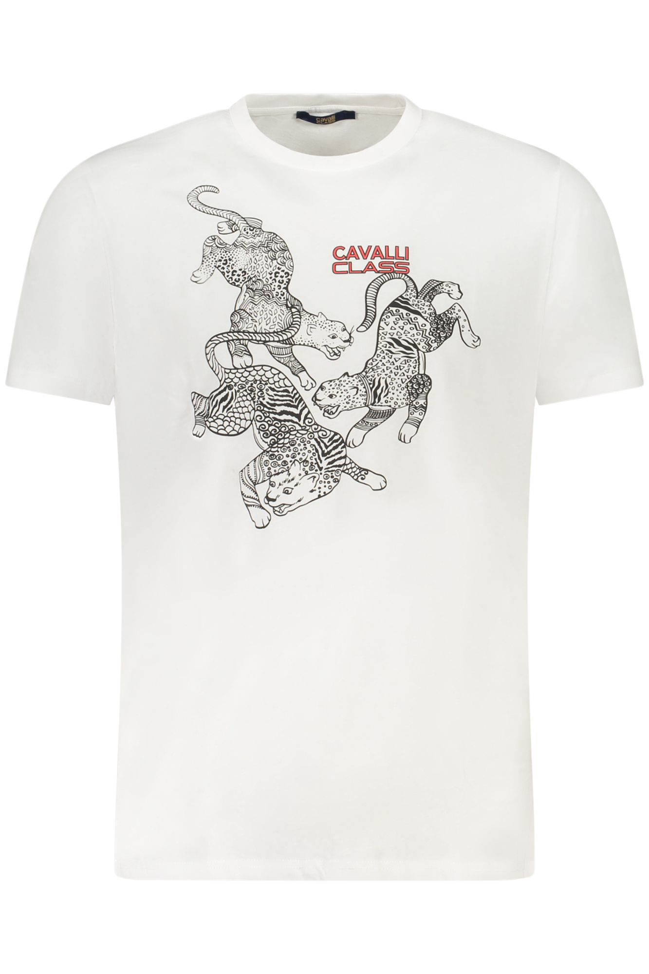 CAVALLI CLASS T-SHIRT MANICHE CORTE UOMO - Bianco