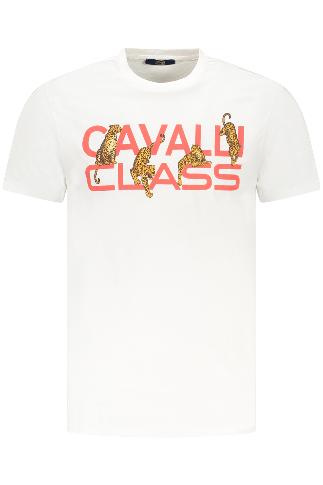 CAVALLI CLASS T-SHIRT MANICHE CORTE UOMO - Bianco