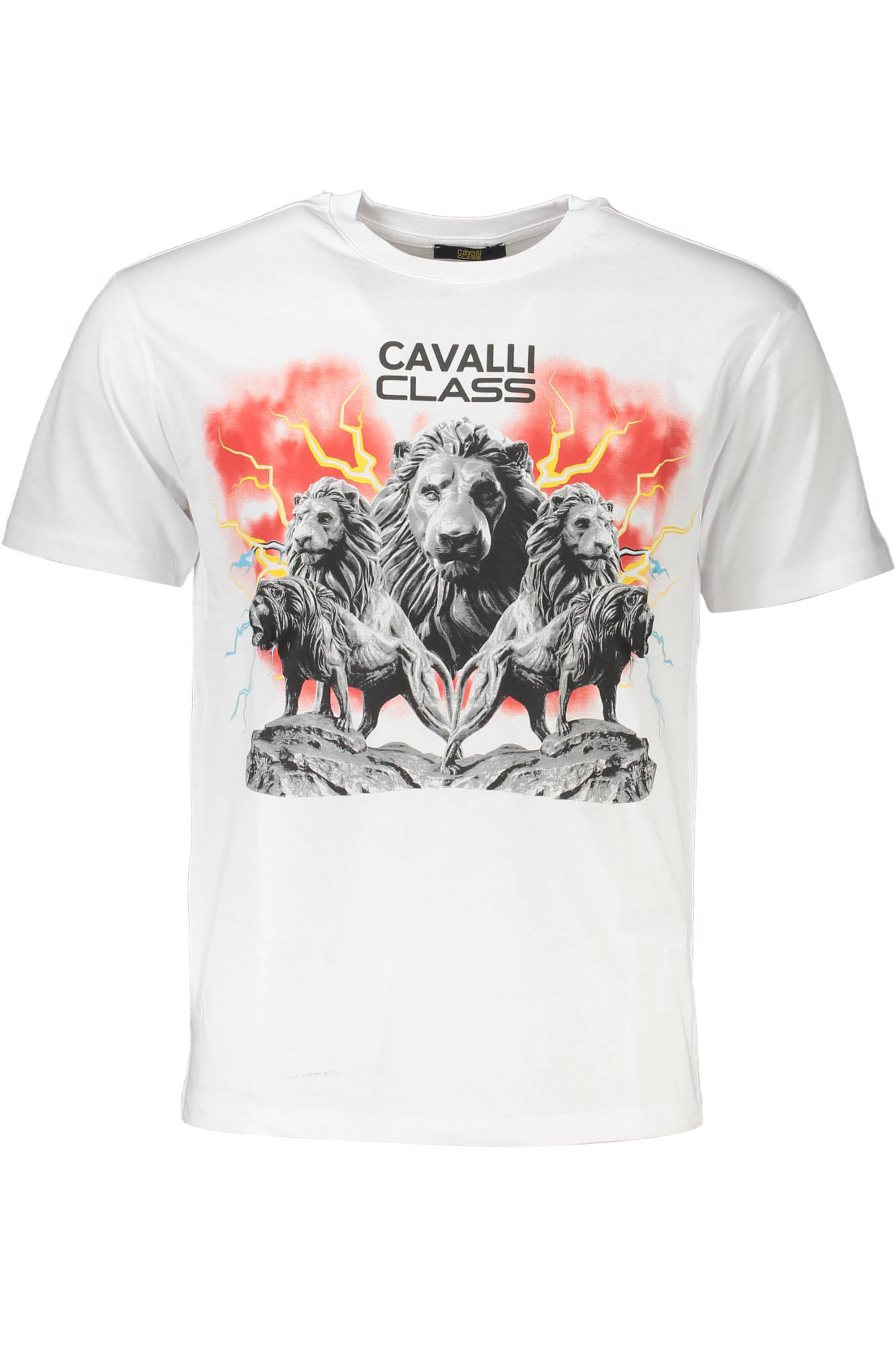 CAVALLI CLASS T-SHIRT MANICHE CORTE UOMO - Bianco