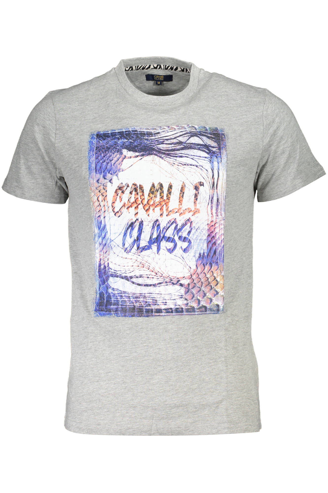 CAVALLI CLASS T-SHIRT MANICHE CORTE UOMO - Grigio
