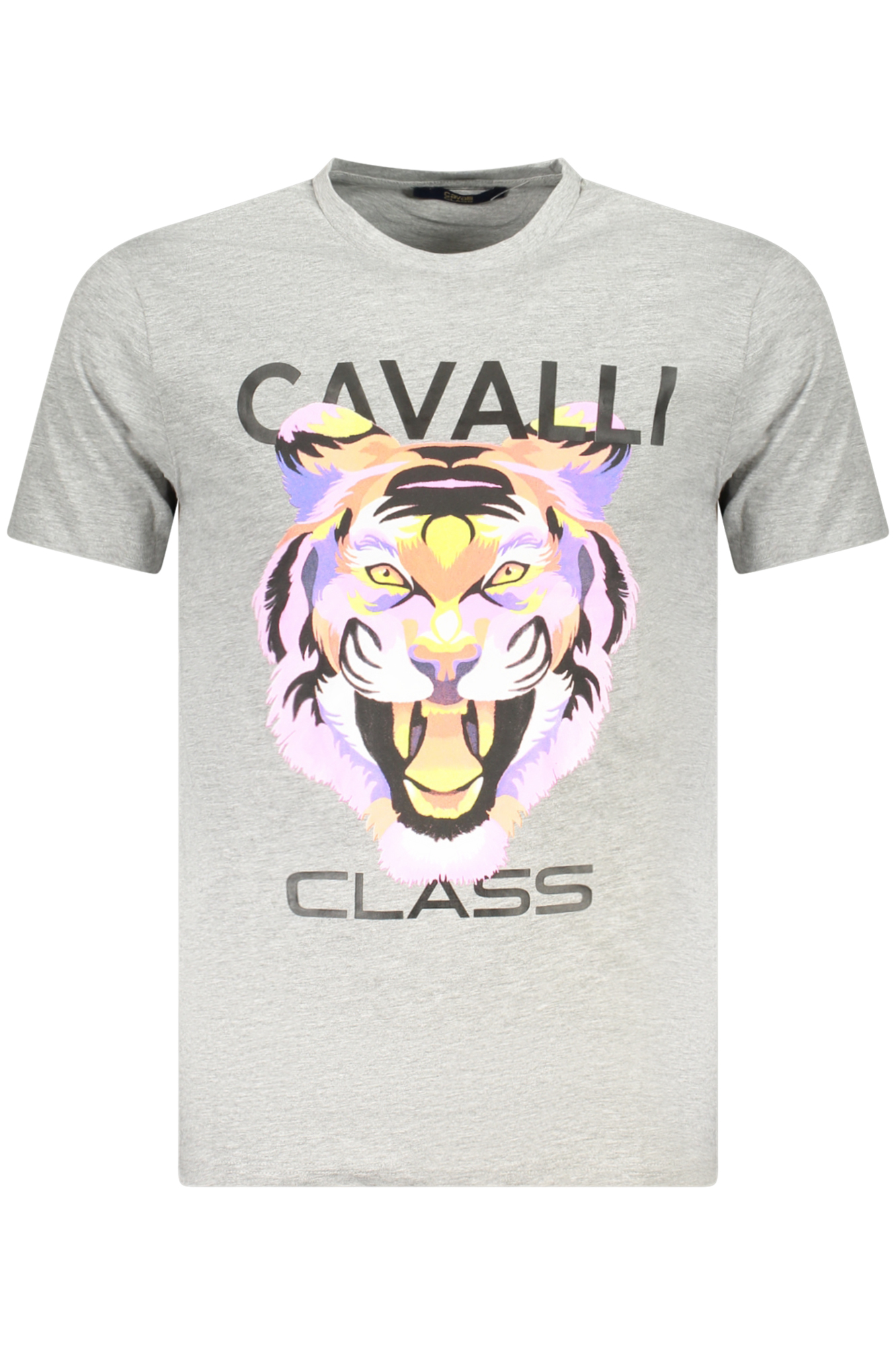 CAVALLI CLASS T-SHIRT MANICHE CORTE UOMO - Grigio