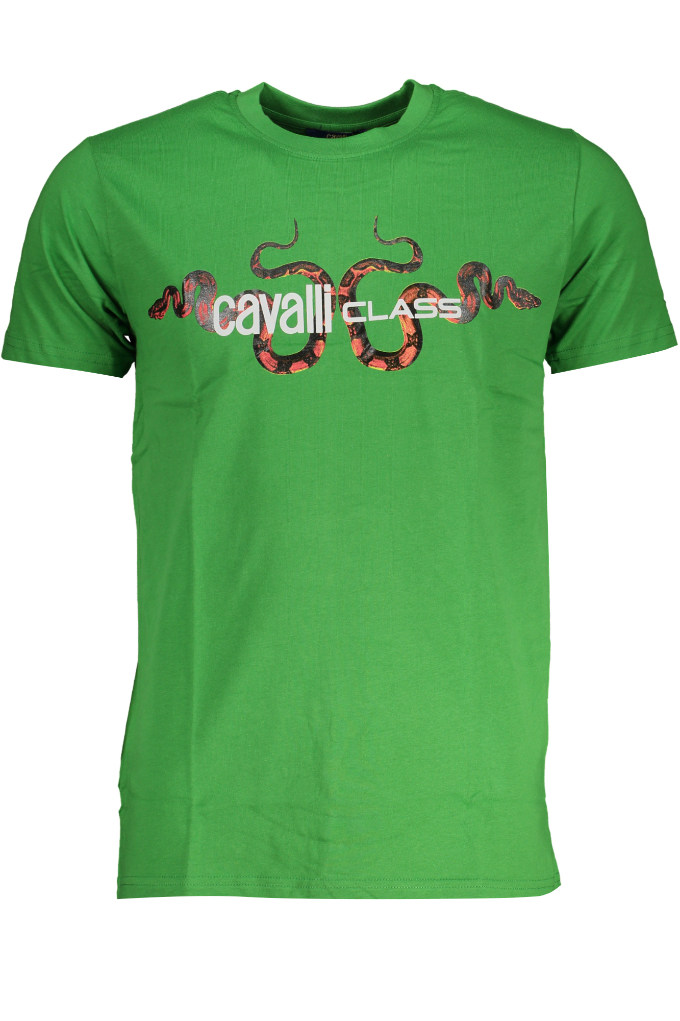 CAVALLI CLASS T-SHIRT MANICHE CORTE UOMO - Verde