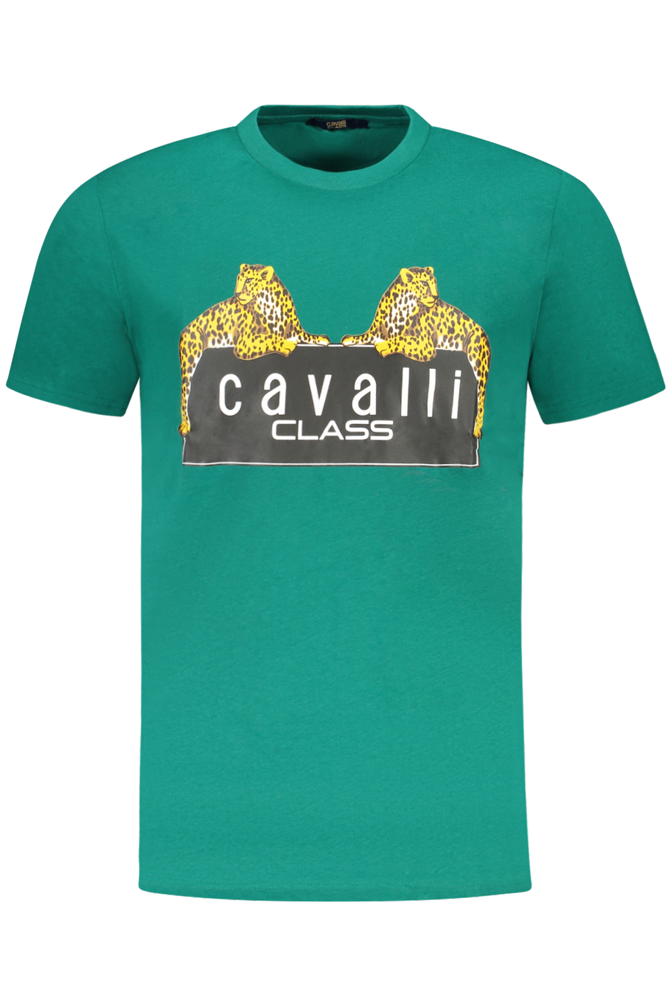 CAVALLI CLASS T-SHIRT MANICHE CORTE UOMO - Verde