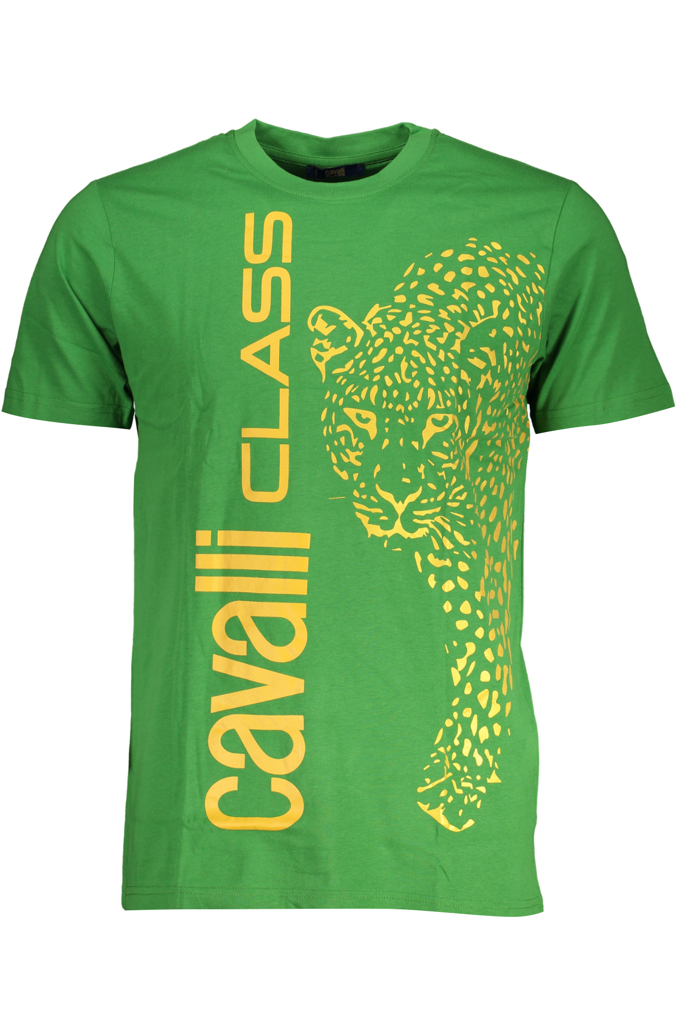 CAVALLI CLASS T-SHIRT MANICHE CORTE UOMO - Verde